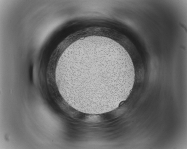 X0000103480189200810241046
