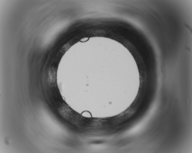 X0000103480190200810241046