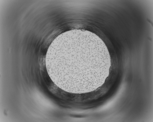 X0000103480191200810241046