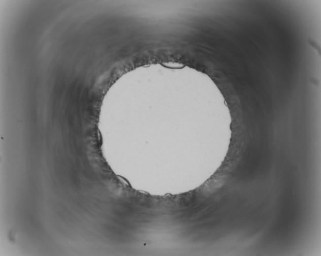 X0000103480192200810241046