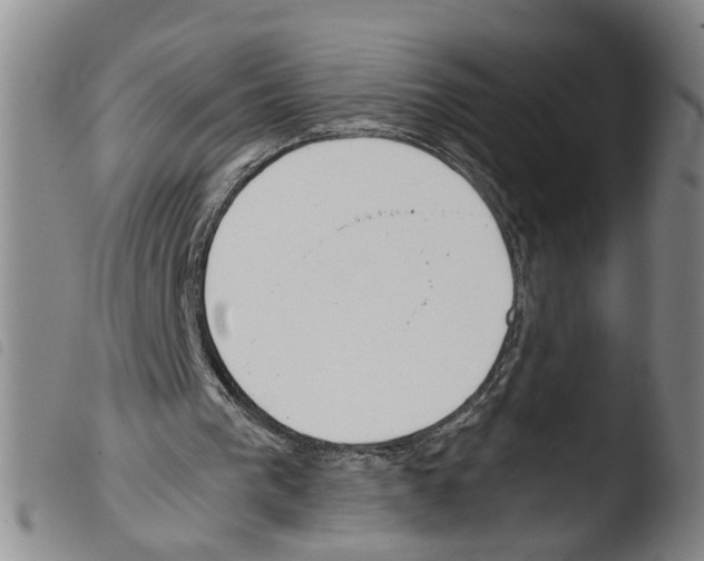 X0000103480193200810241046