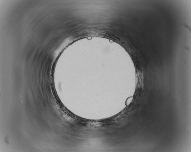 X0000103480195200810241046