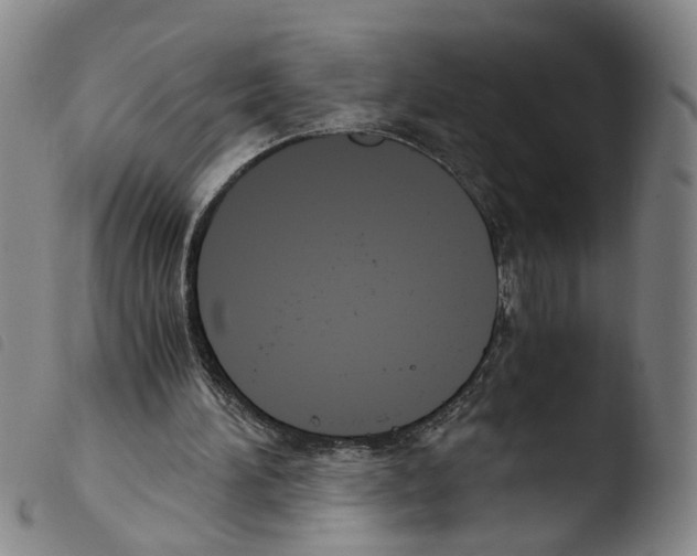 X0000103480196200810241046