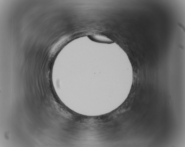 X0000103480197200810241046