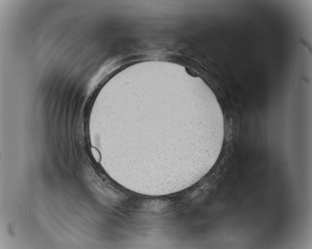 X0000103480198200810241046
