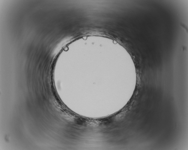 X0000103480199200810241046