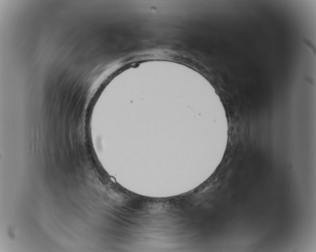 X0000103480200200810241046