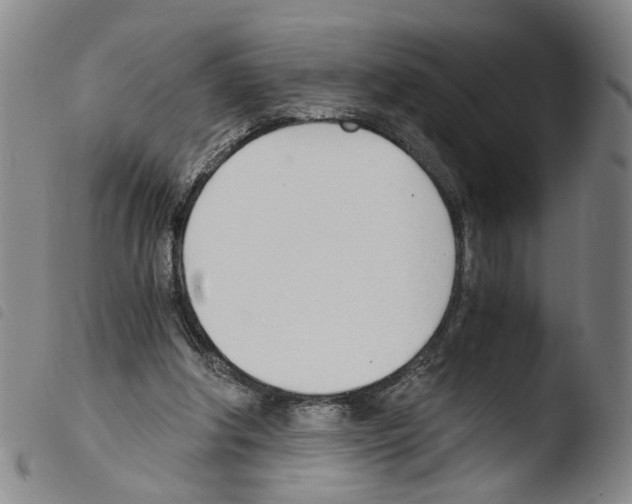 X0000103480202200810241046