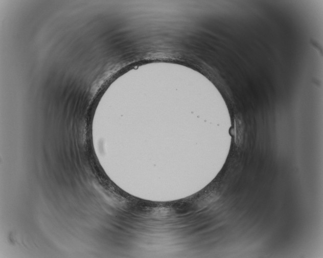 X0000103480204200810241046