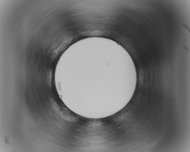 X0000103480206200810241045