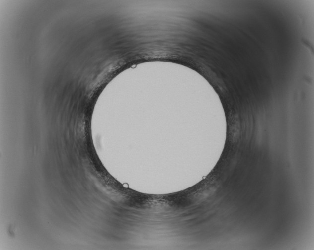 X0000103480207200810241045