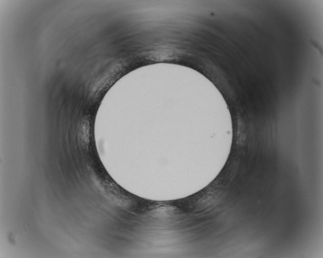 X0000103480210200810241045