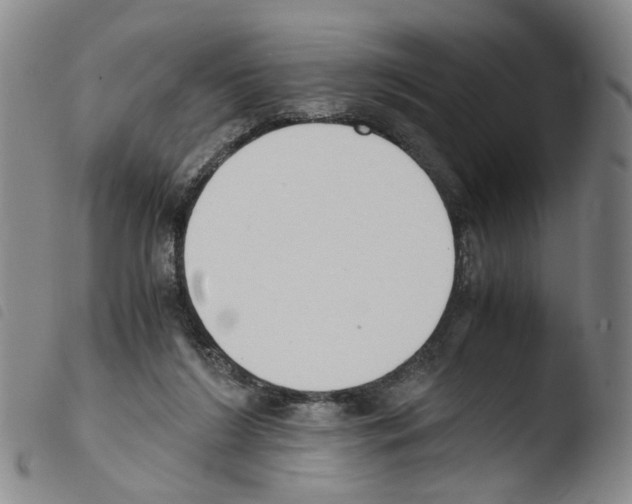 X0000103480212200810241045