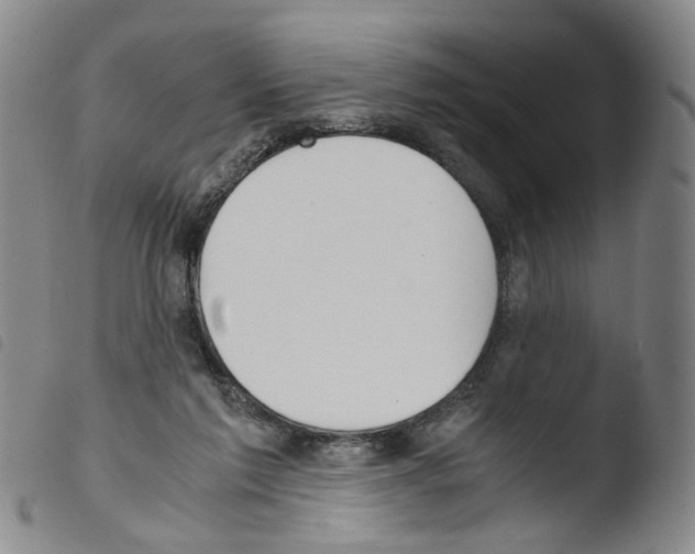 X0000103480213200810241045