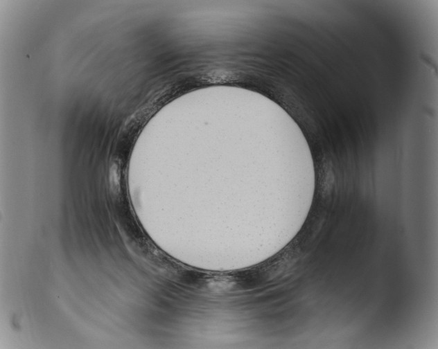 X0000103480214200810241045