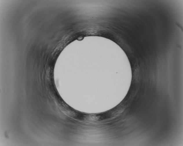 X0000103480217200810241045
