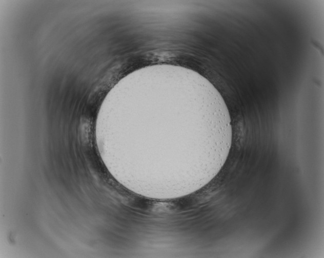 X0000103480222200810241045