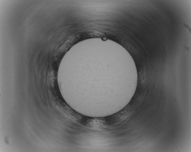 X0000103480223200810241045