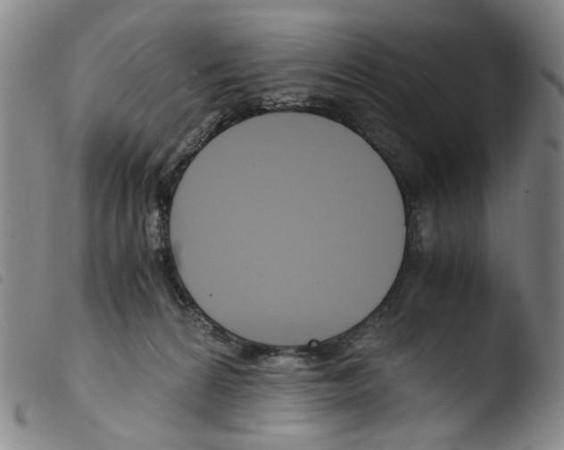 X0000103480224200810241045