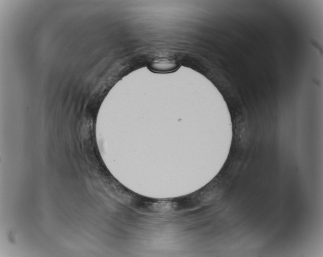 X0000103480225200810241045