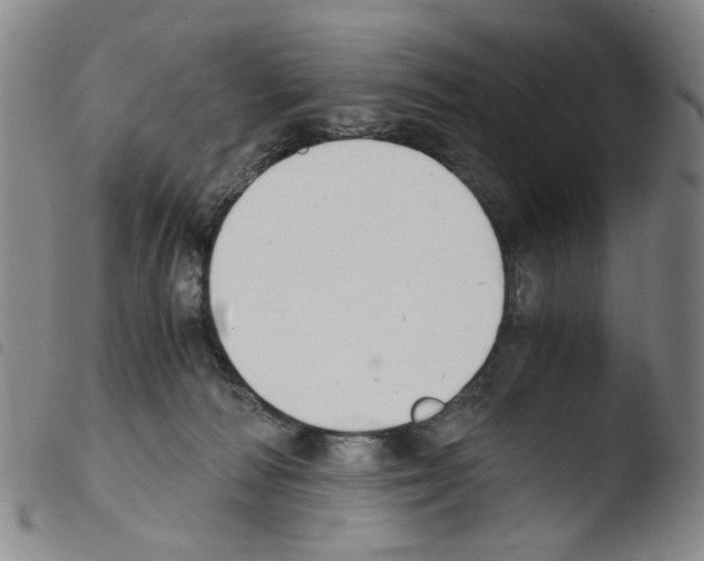 X0000103480226200810241045