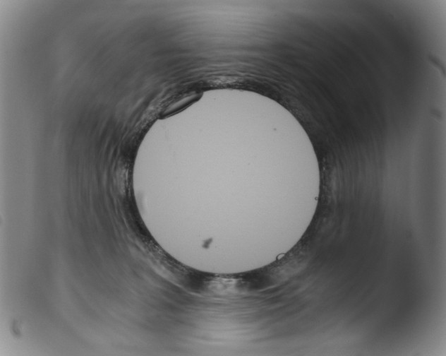 X0000103480227200810241045