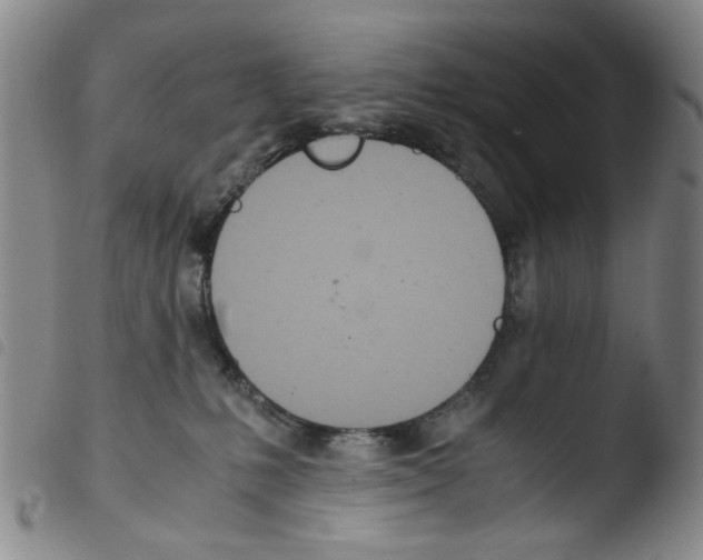 X0000103480231200810241045
