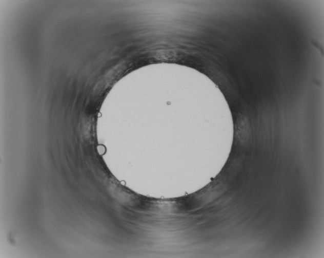X0000103480233200810241045