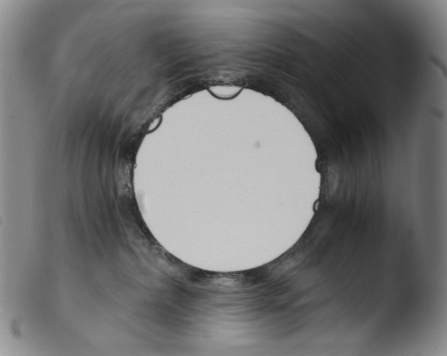 X0000103480236200810241045