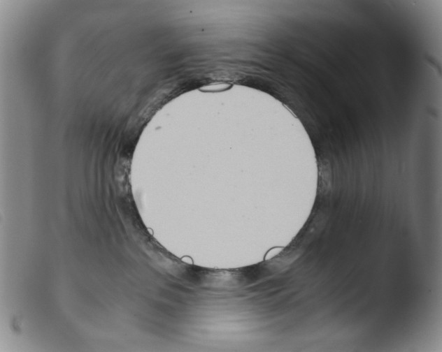 X0000103480237200810241045