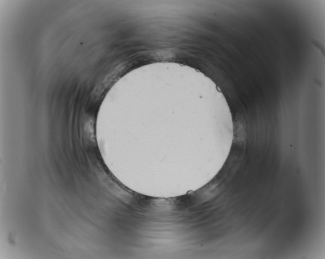 X0000103480238200810241045