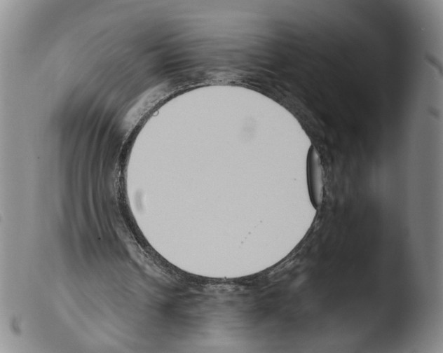 X0000103480242200810241044