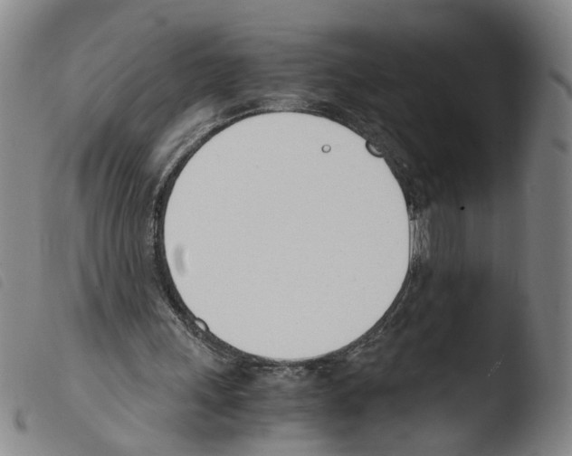 X0000103480243200810241044