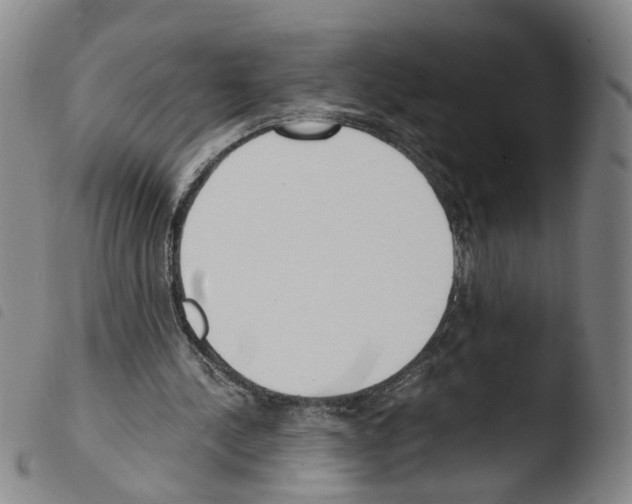 X0000103480244200810241044