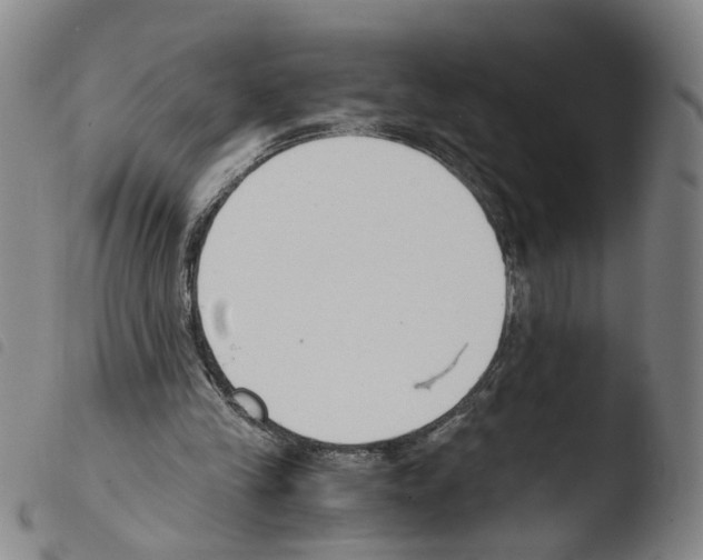 X0000103480245200810241044
