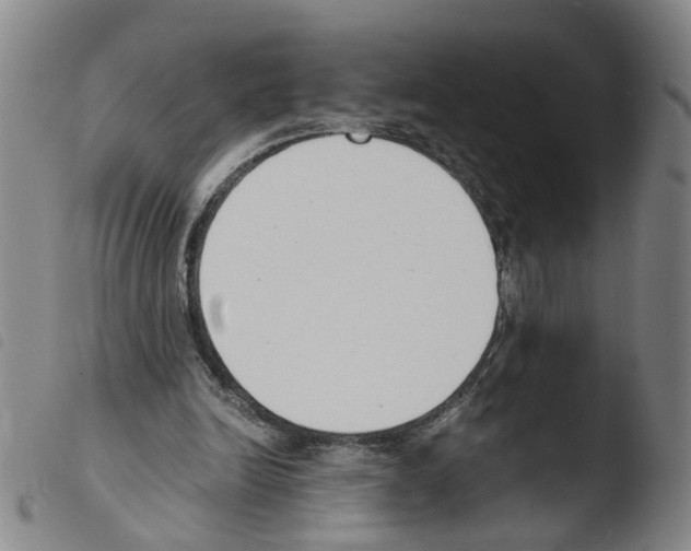 X0000103480246200810241044