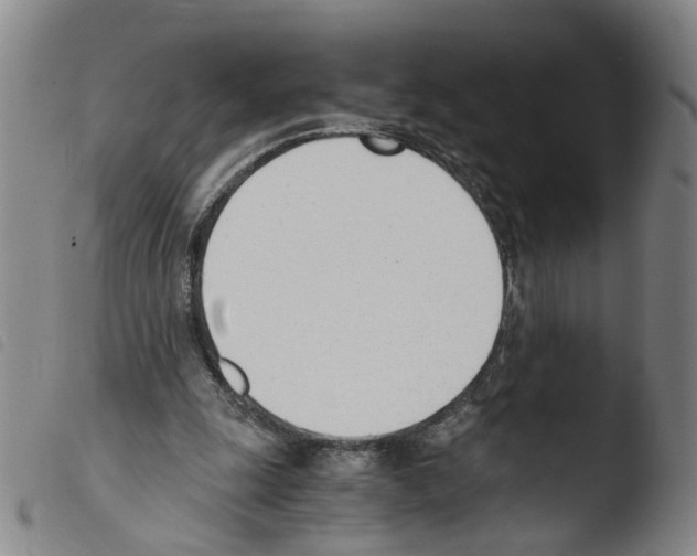 X0000103480247200810241044