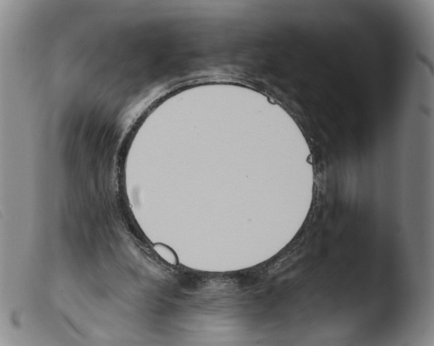 X0000103480248200810241044