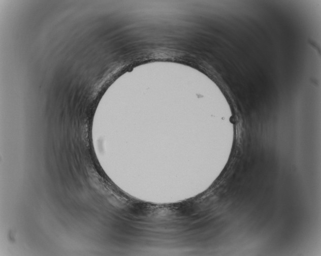 X0000103480249200810241044
