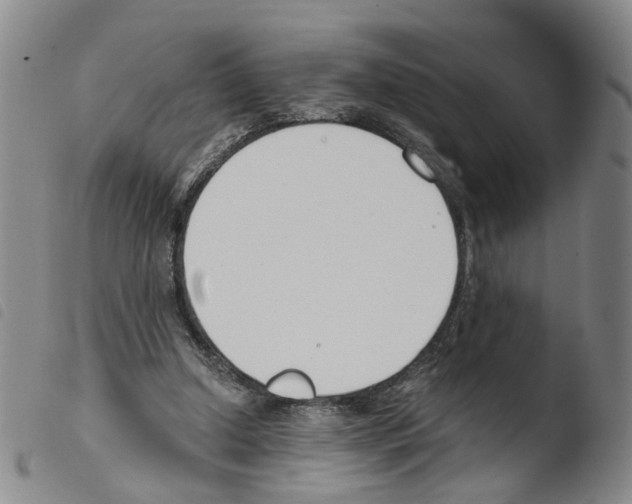X0000103480250200810241044