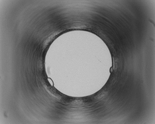 X0000103480252200810241044