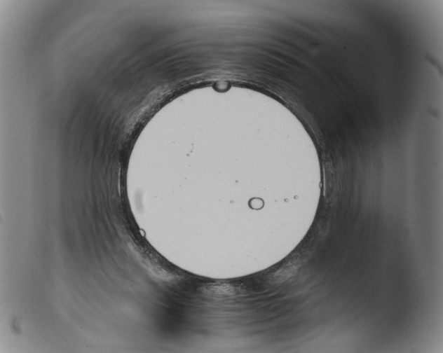 X0000103480253200810241044