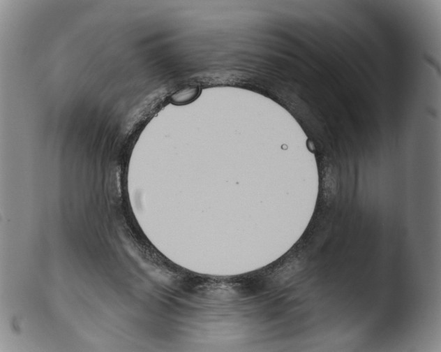 X0000103480254200810241044