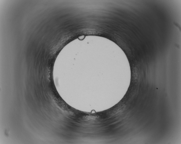 X0000103480255200810241044