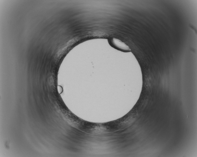 X0000103480256200810241044