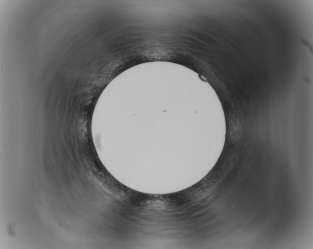X0000103480259200810241044
