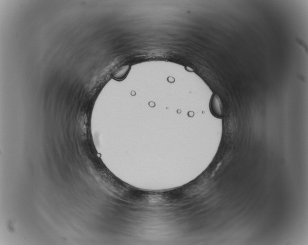 X0000103480264200810241044
