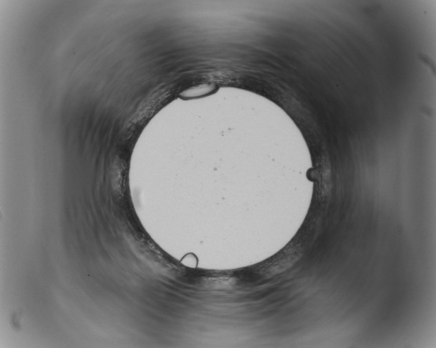 X0000103480266200810241045