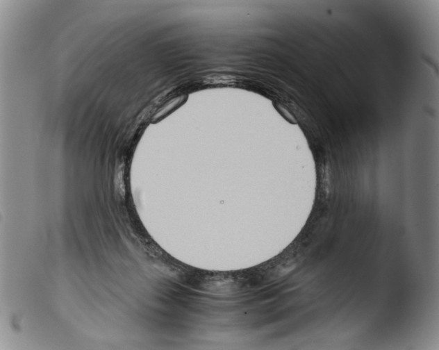 X0000103480267200810241045
