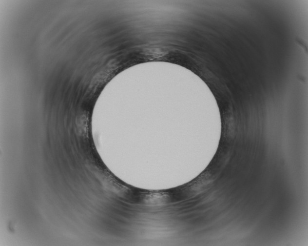 X0000103480274200810241045